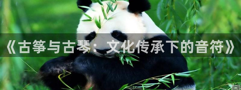 凯发手机官网客户端