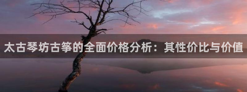 凯发k8app下载：太古琴坊古筝的全面价格分析：其性价比与价