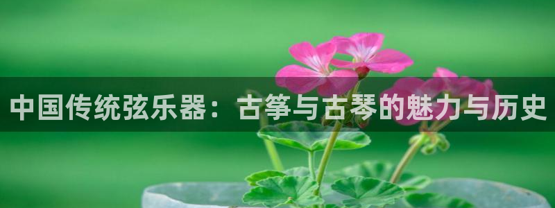 凯发k8娱乐|k808.vip：中国传统弦乐器：古筝与古琴的