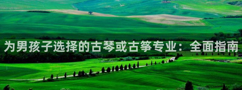 凯发手机唯一：为男孩子选择的古琴或古筝专业：全面指南